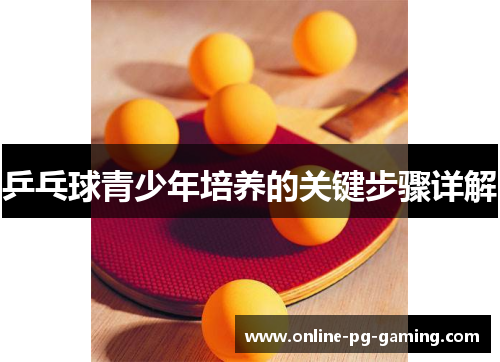乒乓球青少年培养的关键步骤详解
