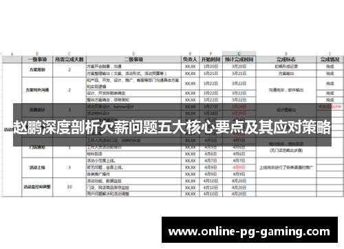 赵鹏深度剖析欠薪问题五大核心要点及其应对策略