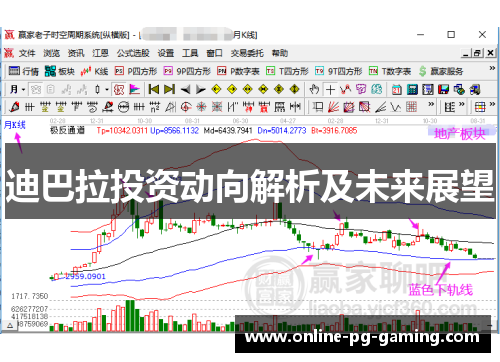 迪巴拉投资动向解析及未来展望