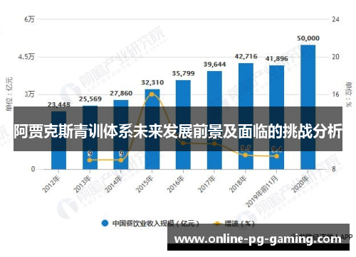 阿贾克斯青训体系未来发展前景及面临的挑战分析